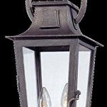 Troy-Lighting-French-Quarter-2-Light-Outdoor-Pendant-Aged-Pewter-Finish-with-Clear-Glass-0