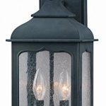 Troy-Lighting-Henry-Street-185H-2-Light-Outdoor-Wall-Lantern-Colonial-Iron-Finish-with-Clear-Seeded-Glass-by-Troy-0