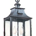 Troy-Lighting-Newton-2-Light-Outdoor-Pendant-Old-Bronze-Finish-with-Clear-Seeded-Glass-0