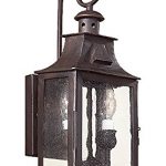 Troy-Lighting-Newton-Light-Outdoor-Wall-Lantern-Old-Bronze-Finish-with-Clear-Seeded-Glass-0
