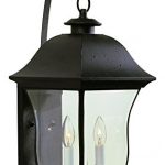 Two-Light-Black-Clear-Beveled-Curved-Rectangle-Glass-Wall-Lantern-0