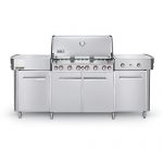 Weber-Summit-Stainless-Steel-Natural-Gas-Grill-Center-0-0