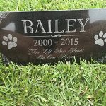 You-Left-Paw-Prints-on-Our-Hearts-Pet-Memorial-Stones-Personalized-Headstone-Grave-Marker-Absolute-Black-Granite-Garden-Plaque-Engraved-with-Dog-Cat-Name-Dates-0-1